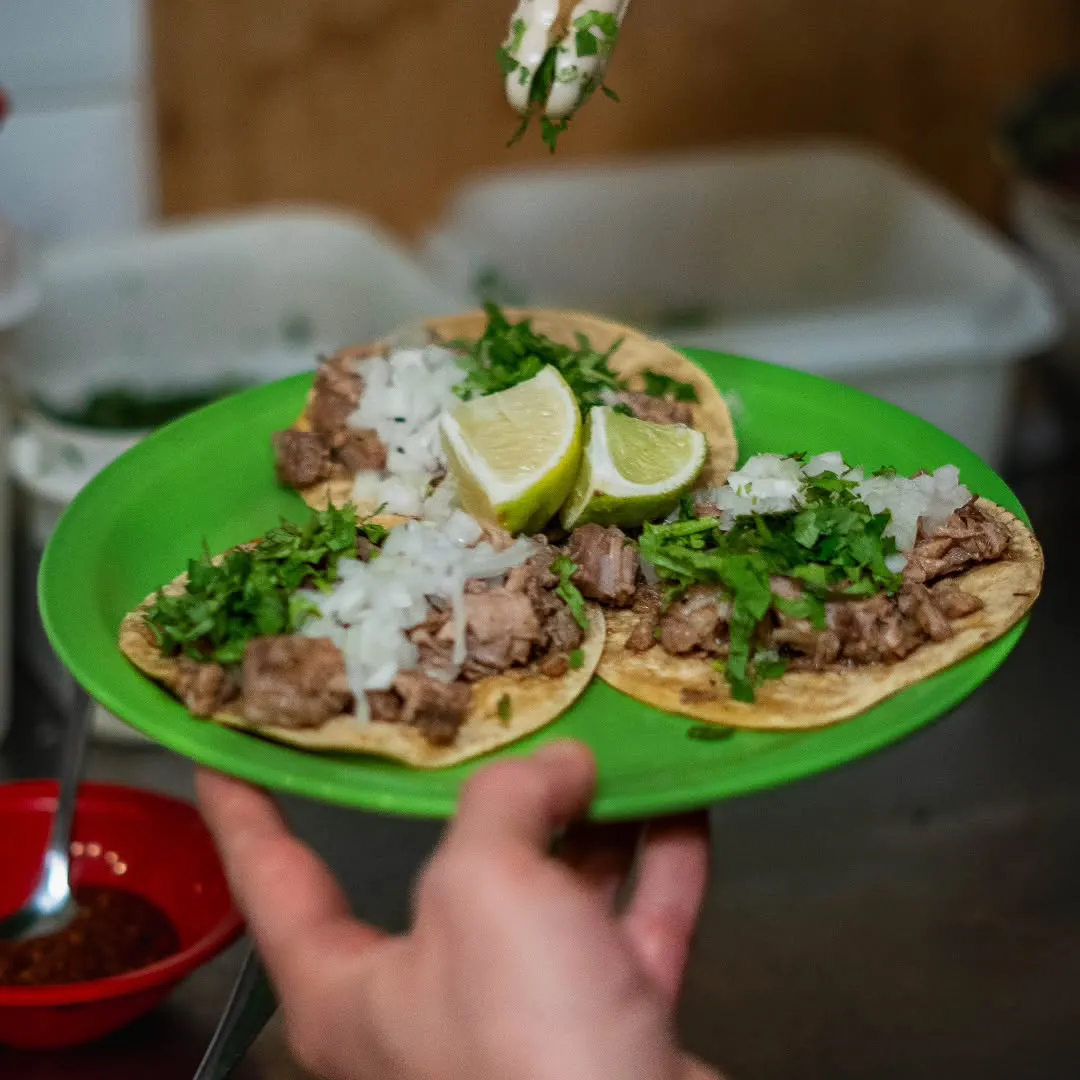 Una orden de tacos de suadero con cebolla, cilantro y limón en el plato verde de la casa